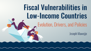 Fiscal Vulnerabilities book cover